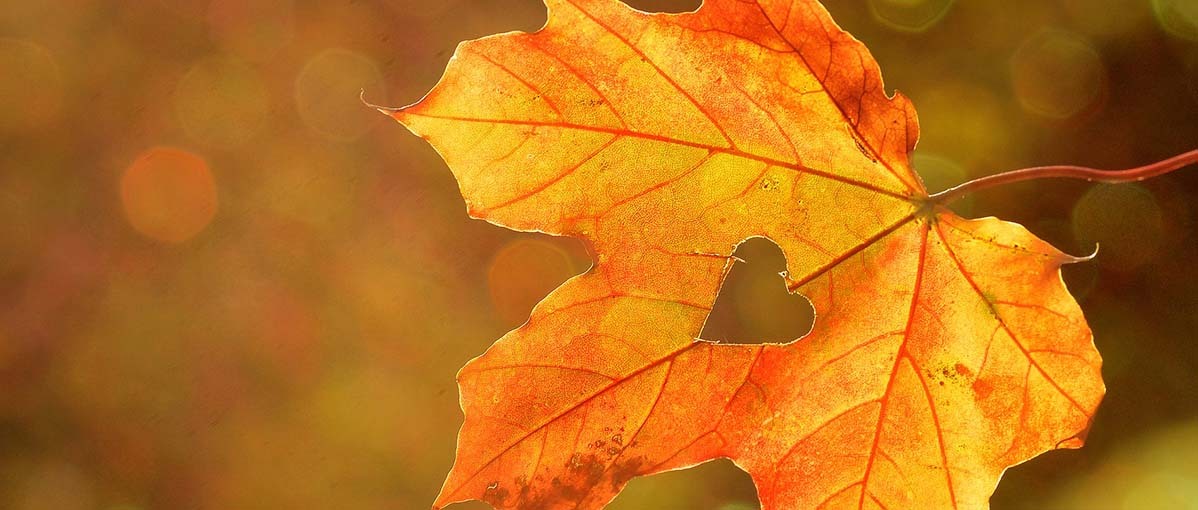 Een extra kleurrijke herfst met de speeltips van EXIT Toys