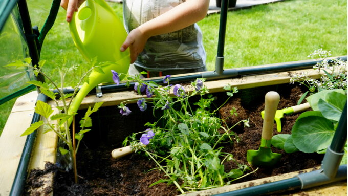 Leuk en leerzaam: een moestuin voor kinderen