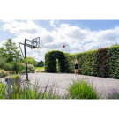 EXIT Galaxy Verplaatsbaar Basketbalbord met Dunkring